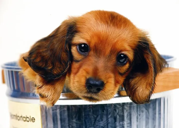 De L'europe Hotell Toul